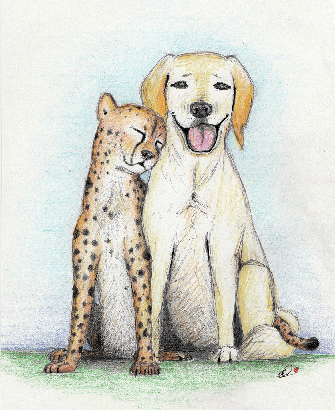 Pencil drawing of a labrador and a cheetah